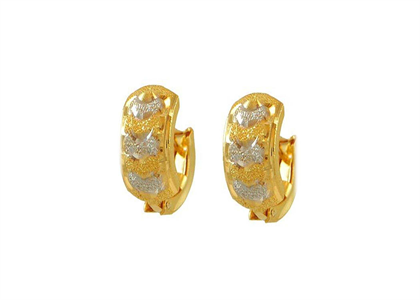 Dual Tone Plated | Fashion Earrings